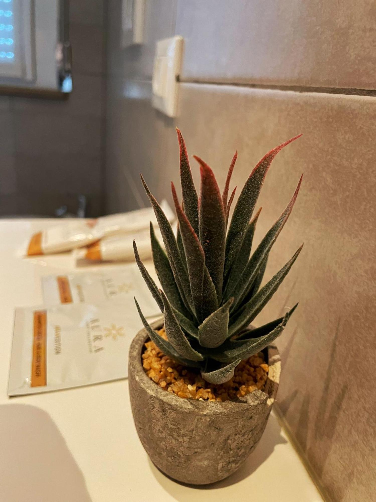 Alla Scaletta - Stanze Con Bagno Privato E Wifi A Pochi Passi Dal Duomo Mirandola Extérieur photo